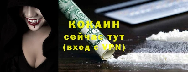 гидра Верея