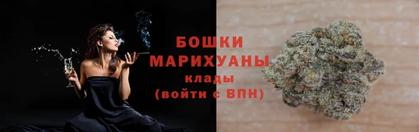 гидра Верея