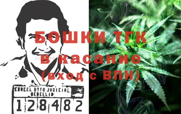 гидра Верея