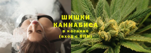 гидра Верея