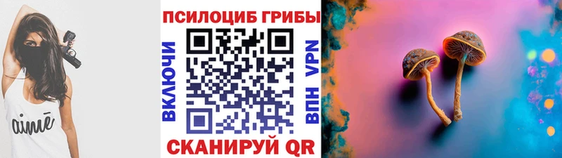 Галлюциногенные грибы Psilocybe  Нерчинск 